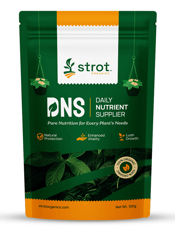 DNS | DAILY NUTRIENT SUPPLIER