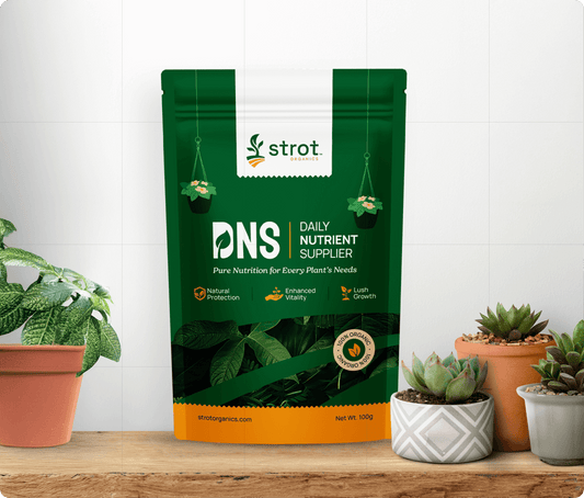 DNS - Daily Nutrient Supplier